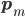 \mathbf{p}_m