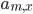 a_{m,x}