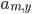 a_{m,y}