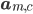 \mathbf{a}_{m,c}