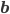 \mathbf{b}