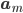 \mathbf{a}_m